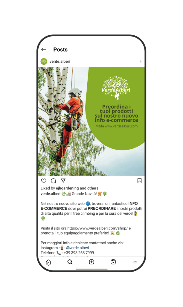 Verdealberi social 2