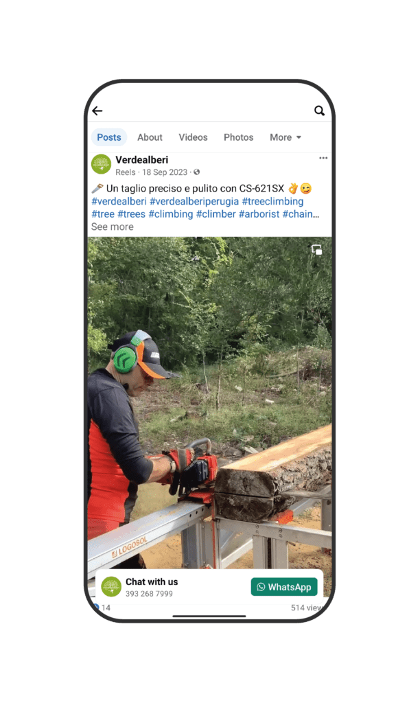 Verdealberi social 4