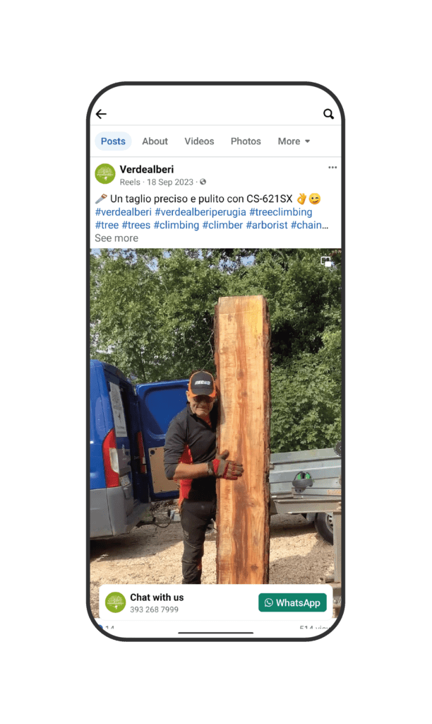 Verdealberi social 5