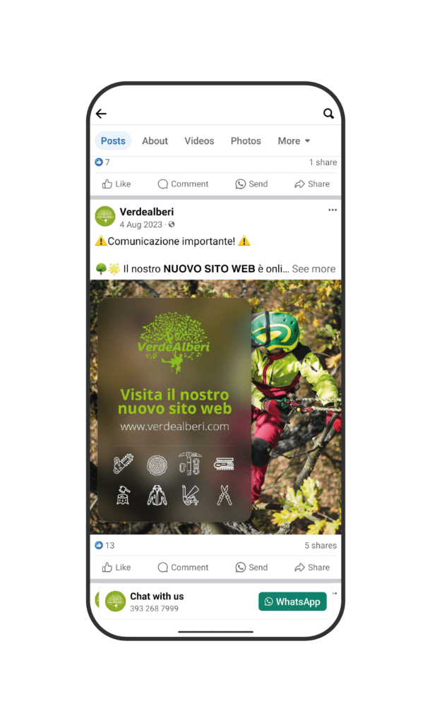 Verdealberi social 6