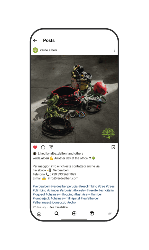 Verdealberi social 7